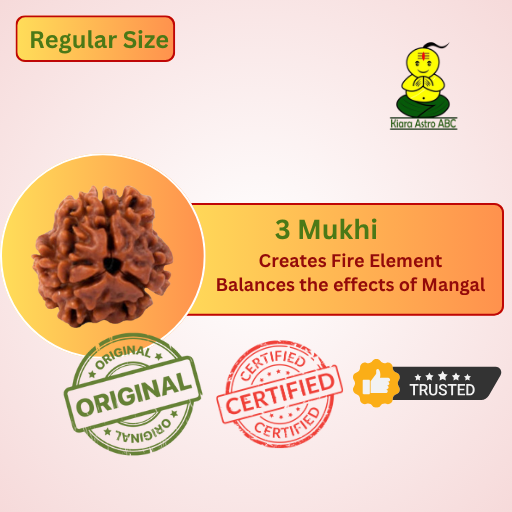 3 Mukhi Nepal Rudraksha (Regular Size — Fine Quality)