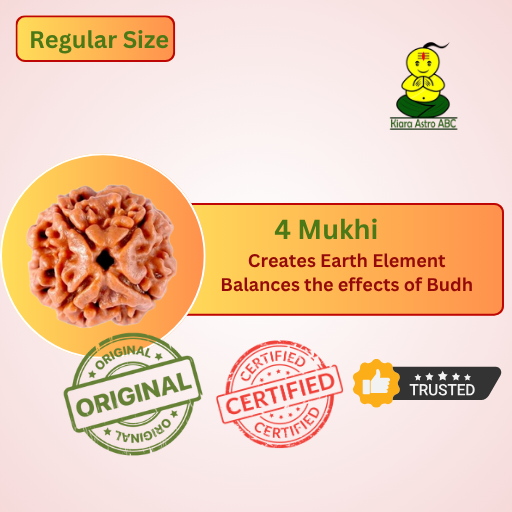 4 Mukhi Nepal Rudraksha (Regular Size — Fine Quality)