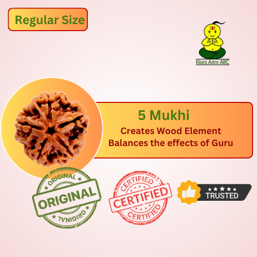 5 Mukhi Nepal Rudraksha (Regular Size — Fine Quality)