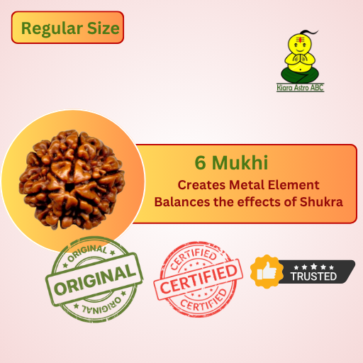 6 Mukhi Nepal Rudraksha (Regular Size — Fine Quality)