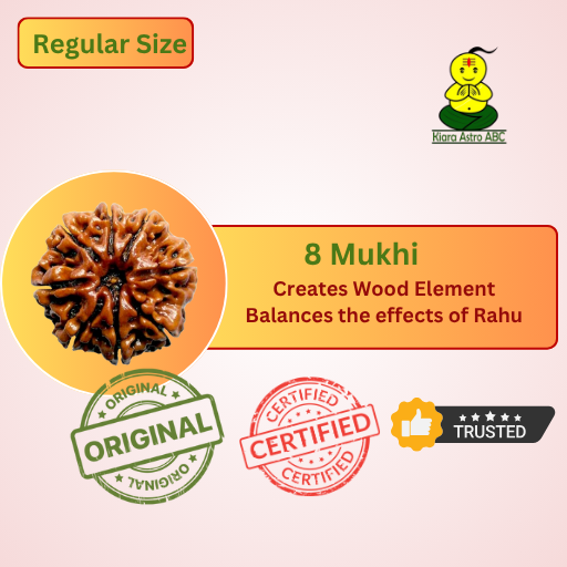 8 Mukhi Nepal Rudraksha (Regular Size — Fine Quality)