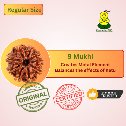 9 Mukhi Nepal Rudraksha (Regular Size — Fine Quality)