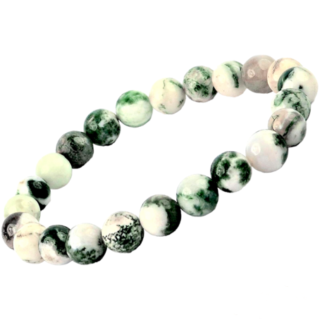 Tree Agate Bracelet - 8 mm