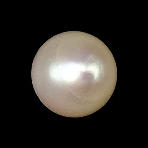 South Sea Pearl (Moti) - 8.75 Carat (7.97 Ratti)