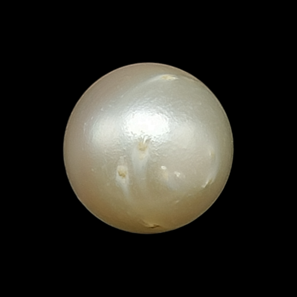 South Sea Pearl (Moti) - 8.92 Carat (9.80 Ratti)