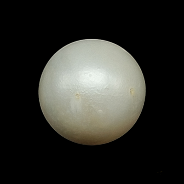 South Sea Pearl (Moti) - 9.16 Carat (10.06 Ratti)