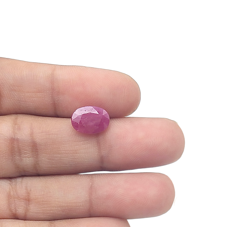 Ruby (Manik) - 2.75 Carat (3.02 Ratti) - Origin - Africa